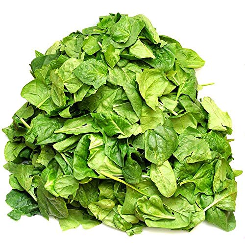 Commodity Canned Fruit and Vegetables Chopped Spinach, 10 Pound Can