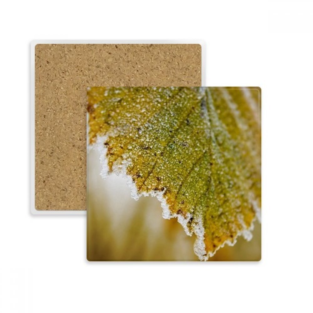 Dessous de verre carré en pierre absorbante avec motif de feuille plante multicolore