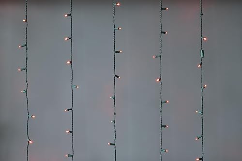 Miniatura 2 de Brite Star Juego de 50 luces LED rojas de gran angular para Navidad, espaciado entre bombillas, cable verde de 16.25 pies