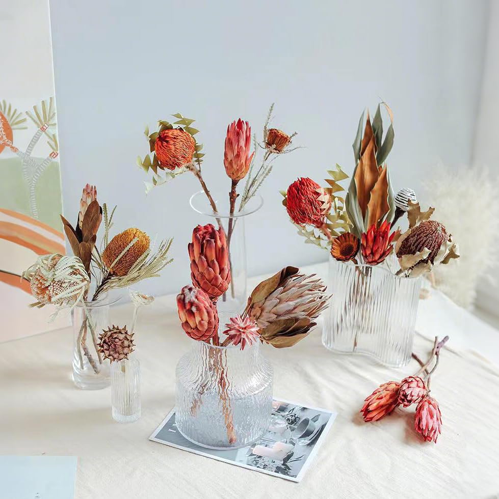 4 tallos de Protea Repens seca natural para decoración miniatura 3