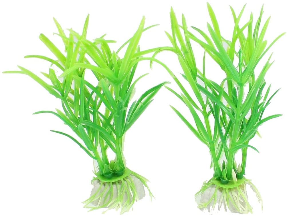 水槽 chi Amazon.co.jp: XYWHPGV 2ピースプラスチック水槽水族館草本装飾、緑