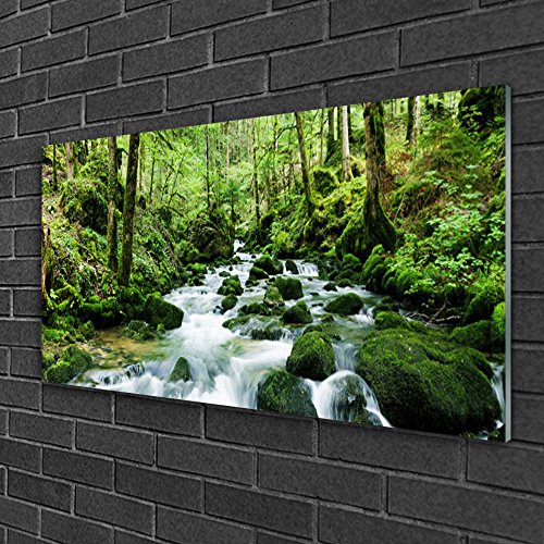 Tableau Verre Trempé Tulup 100x50 cm - Déco Murale Durable et Facile à Nettoyer