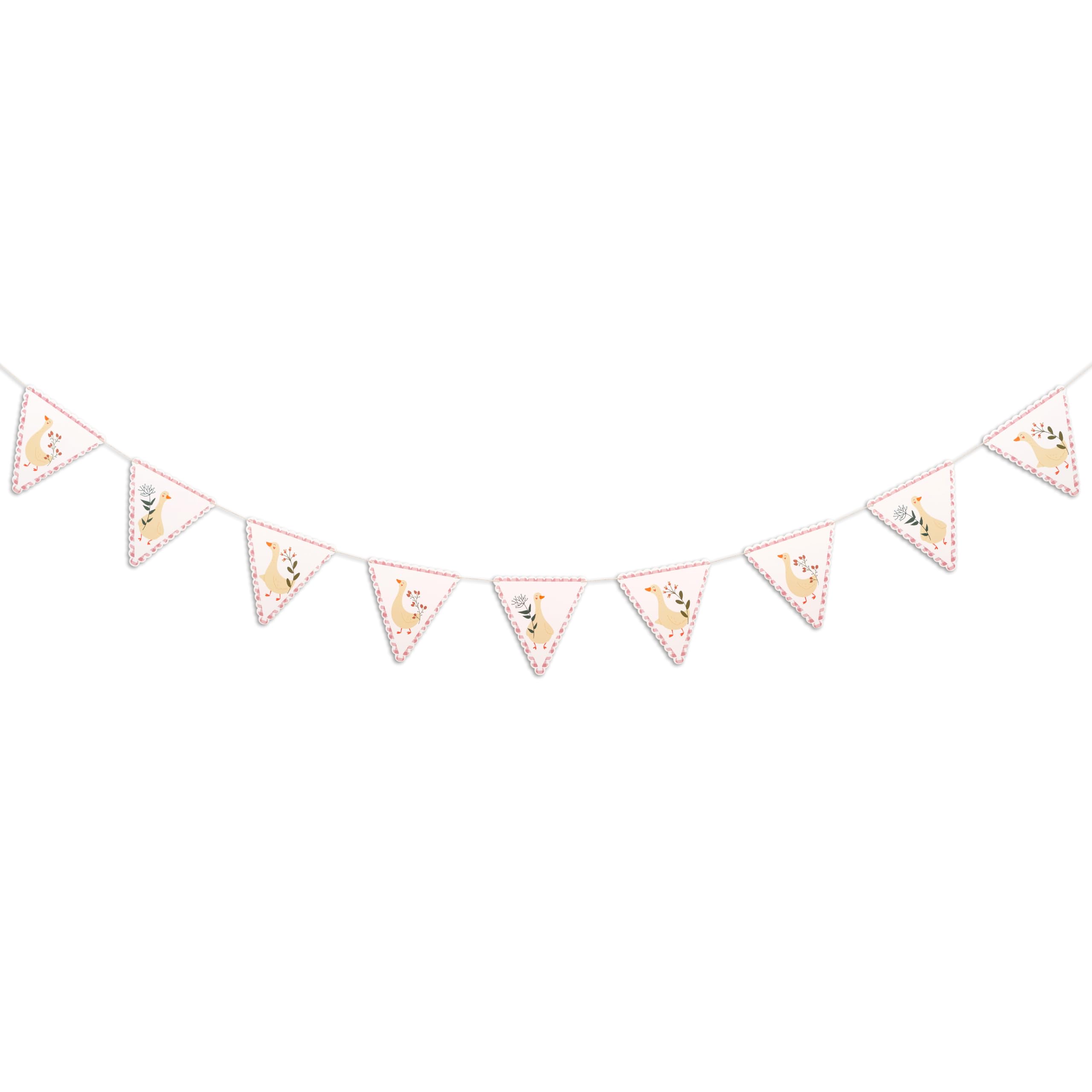 Eurteka Goose Theme Pennant Banner - Goose Baby Shower Party Supplies, One Silly Goose Garland Birthday Decoration, Farm Animal Themed Party Decorations (Goose Theme Banner Pink)