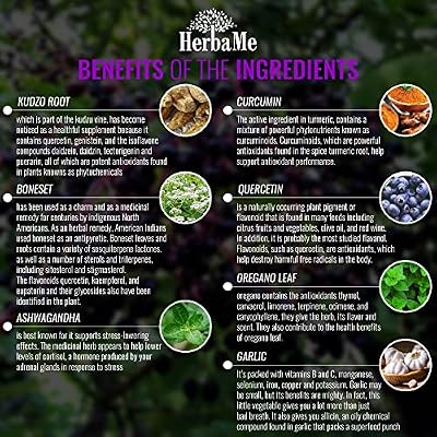 HerbaMe Immune System Support Supplement 15 in 1 with Elderberry, Quercetin, Zinc, Vitamin D, 90 Capsules, Support Natural Wellness, Immunity Booster with Selenium and Vitamin C Antioxidants