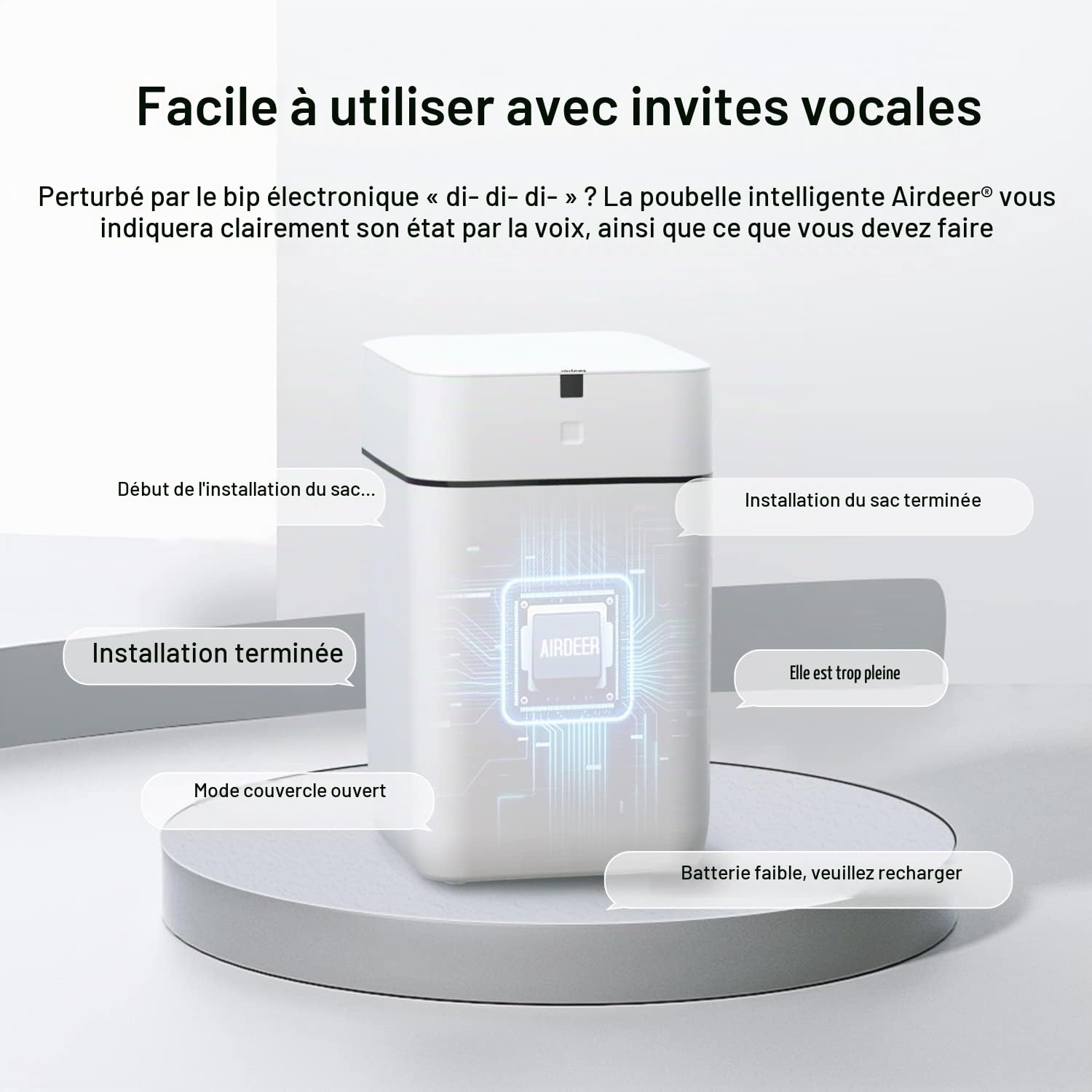 Vue 5