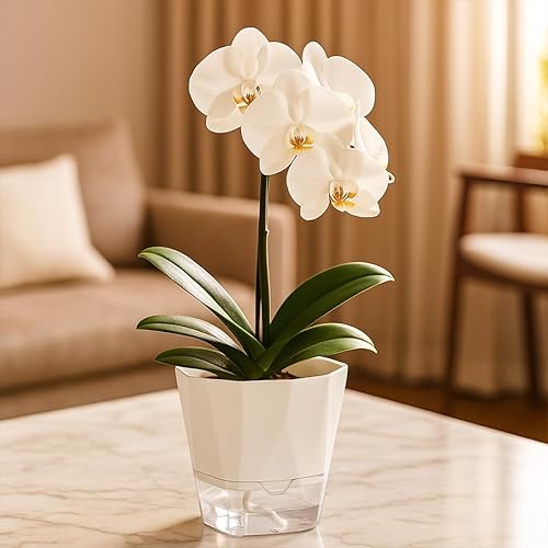 Miniatura 2 de Paquete de 5 macetas de riego automático de 6.7 pulgadas, macetas de riego automático para plantas de interior y exterior, macetas de riego