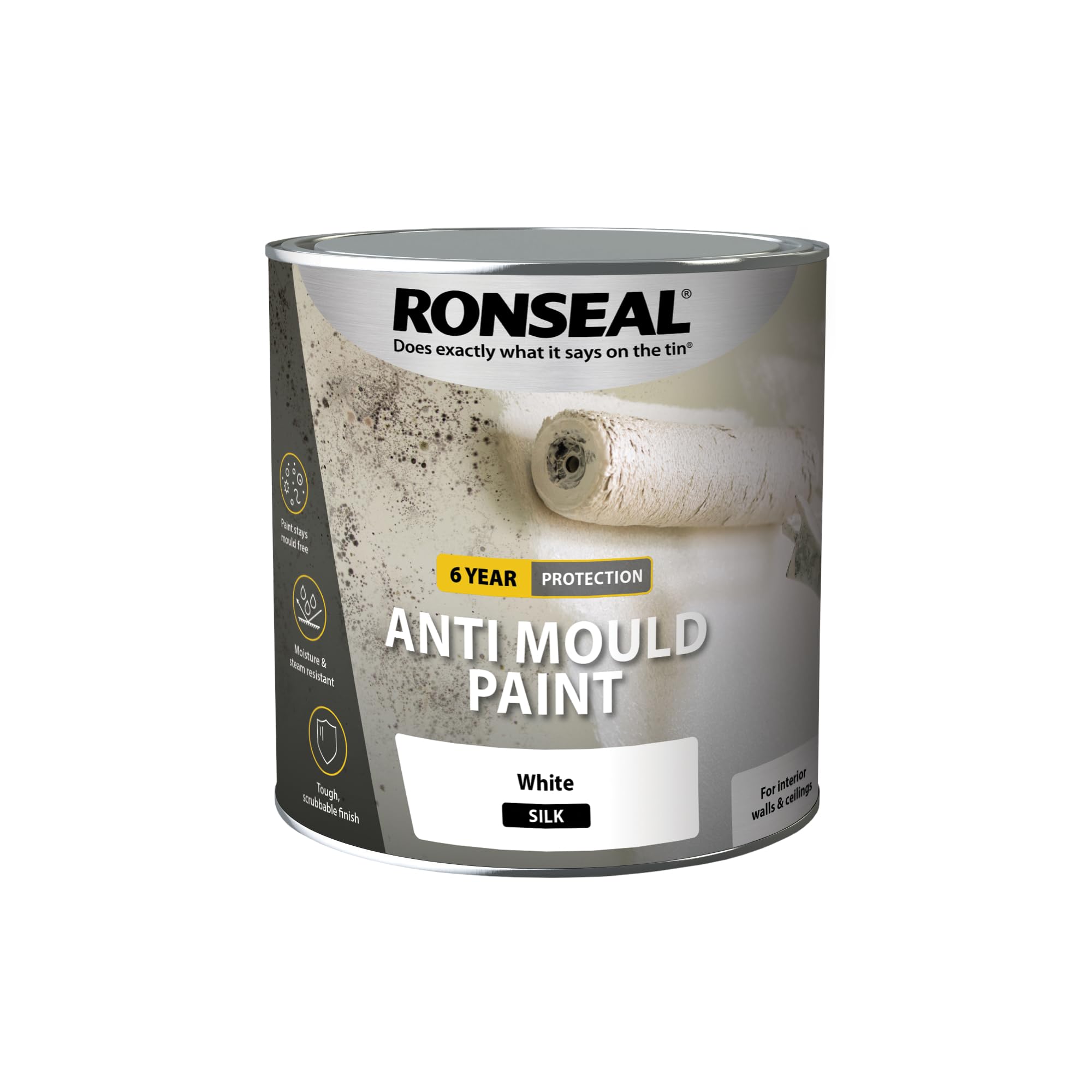 Ronseal 6 Year Anti Mould Paint White Silk 2.5 litre RSLAMPWS25L