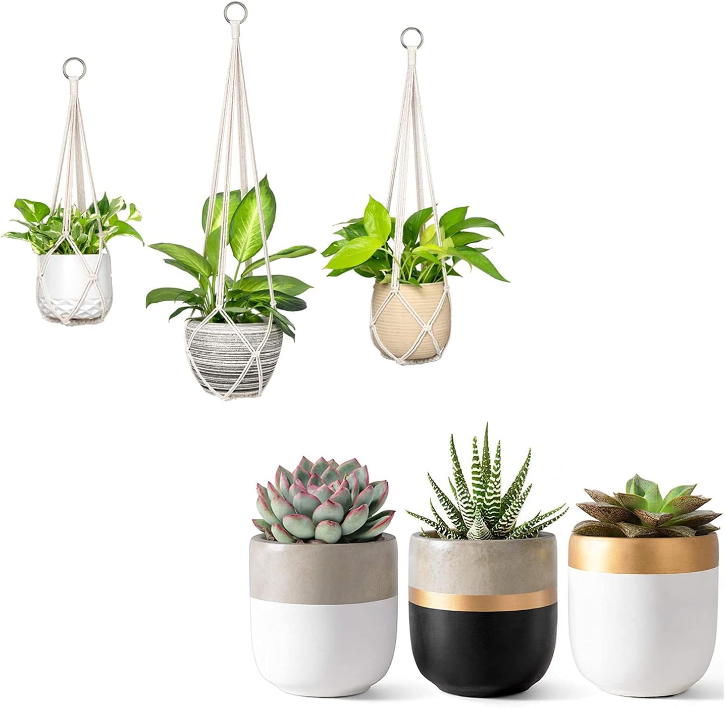Amazon.com: Dahey 3 Pack Macrame Plant Hanger Indoor Hanging Planter ...