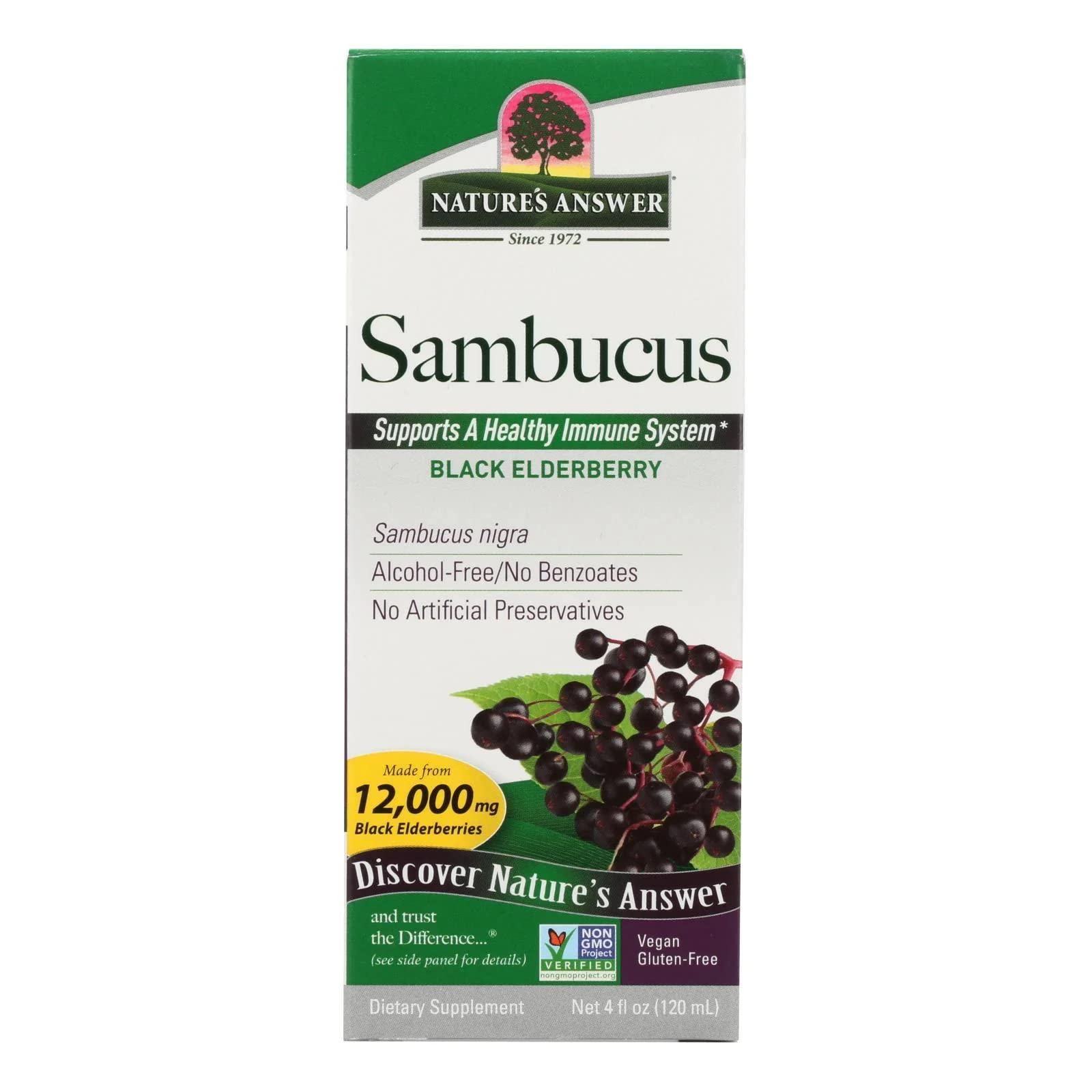 Sambucus Dietary Supplement, Original for Daily Immune and Antioxidant Support | Made in The USA | Alcohol-Free, Gluten-Free & Vegan 4oz (Pack 1)