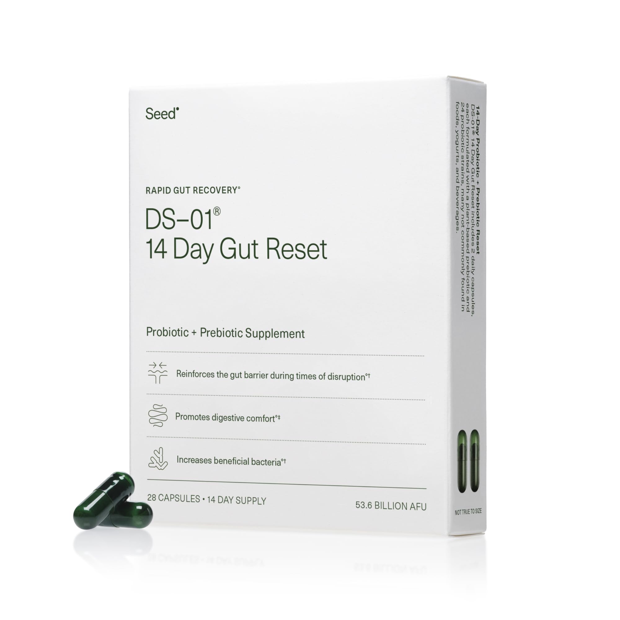 Seed 14 Day Gut Reset - Prebiotic and Probiotic for Women & Men - Digestive Health, Gut Health, Rapid Gut Recovery, Bloating & Constipation Relief - Vegan & Shelf-Stable - 28 Capsules (14-Day Supply)