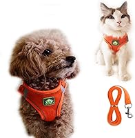 Vista 1 de Juego de arnés y correa para perro pequeño sin tirones, arnés a prueba de escape, chaleco de malla transpirable, arnés reflectante ajustable