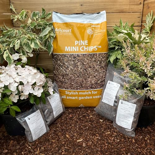 Hortus Planta Melcourt Pine Mini Chips - Stylish Bark Mulch 5L Pack