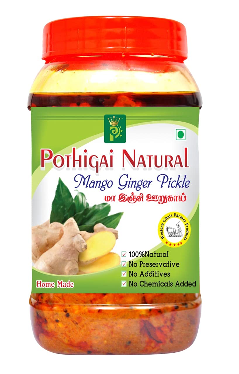 Pothigai Natural Mango Ginger Pickle 500g Pure Home Made Pickle/No Additives/No Preservatives/ 100% Natural made (Pack of 1) (B09FQDTHHT) Amazon Price History, Amazon Price Tracker
