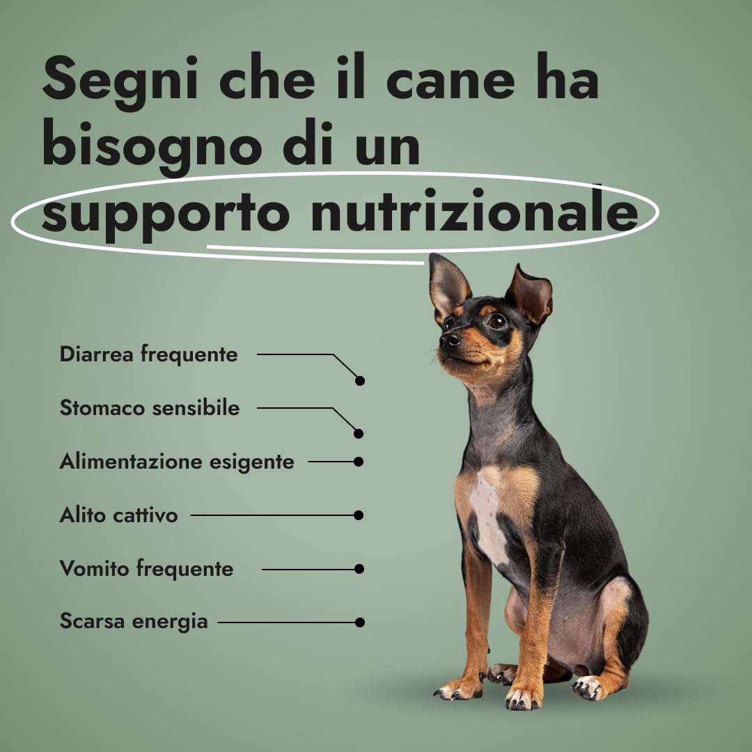 Gut Guard – Integratore per la digestione dei cani con ingredienti naturali, prebiotici e fibre – Supporta intestino, regolarità e benessere generale - Per cani di tutte le età (1x 150 g)