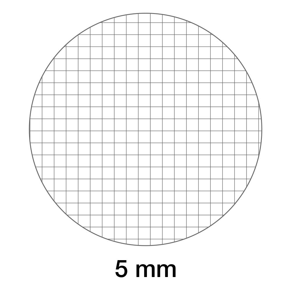 BM BeMore 0121603 - Bloc de notas espiral con agujeros tamaño A4, cuadrícula 5 mm, papel 80 g/m², colores surtidos, paquete de 5 unidades