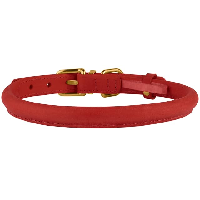 Foto 7 de 8 de Collar de cuero enrollado para perro, etiqueta QR, antienredos (14-16