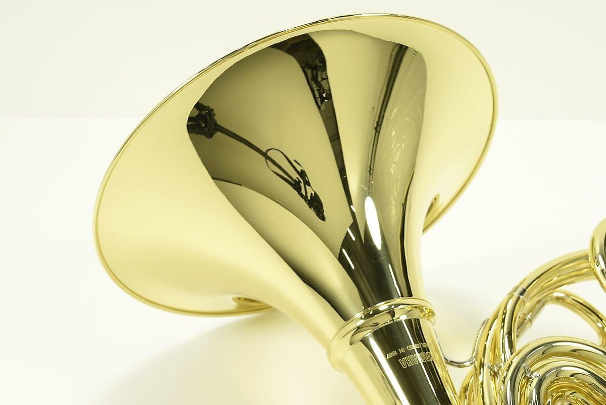Yamaha YHR-567D Geyer Series Intermediate Double French Horn : Musical Instruments