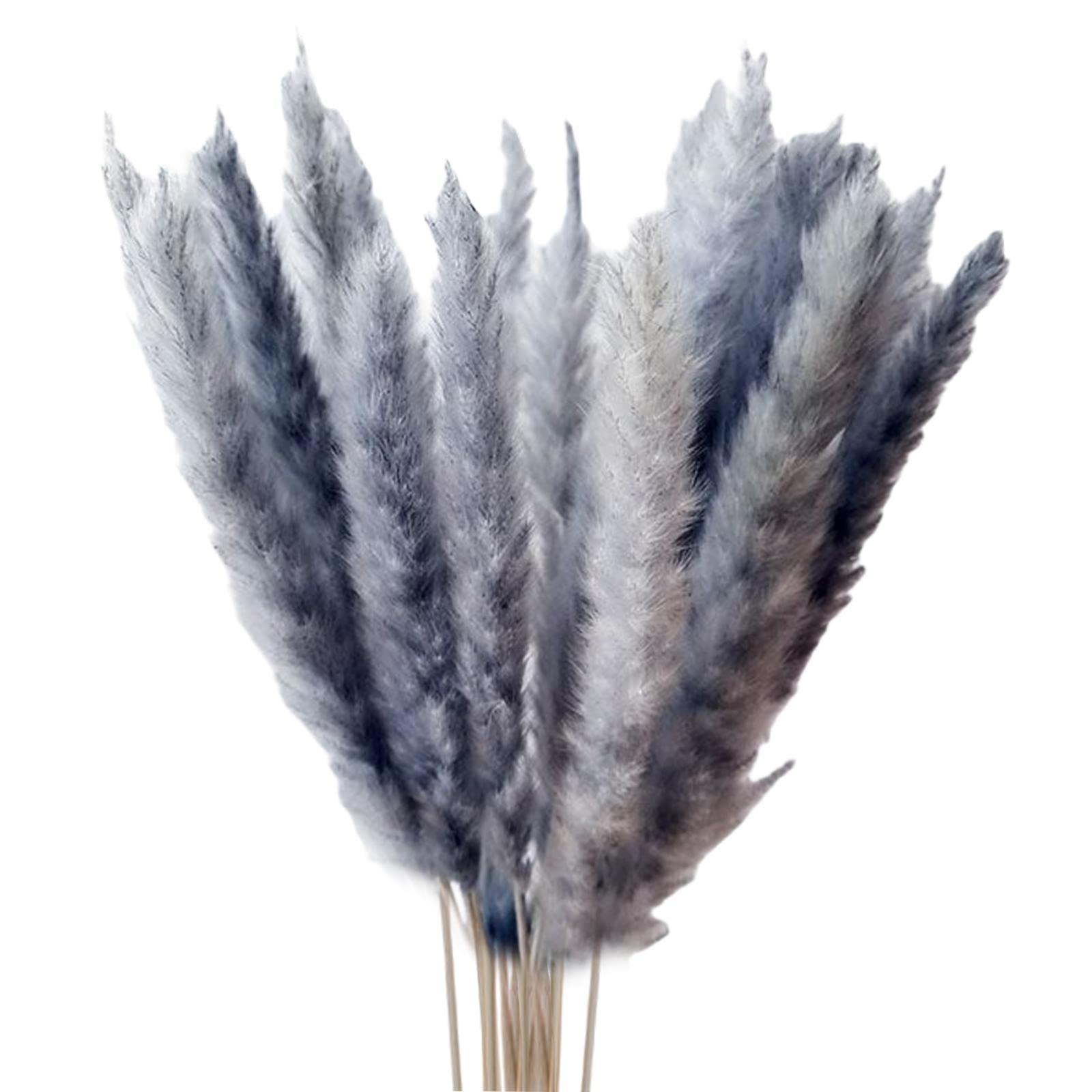 THE STYLE SUTRA 15x Dried Pampas Grass Reed Flowers Bunch Home Party Gift Boho Decor Gray-image-38