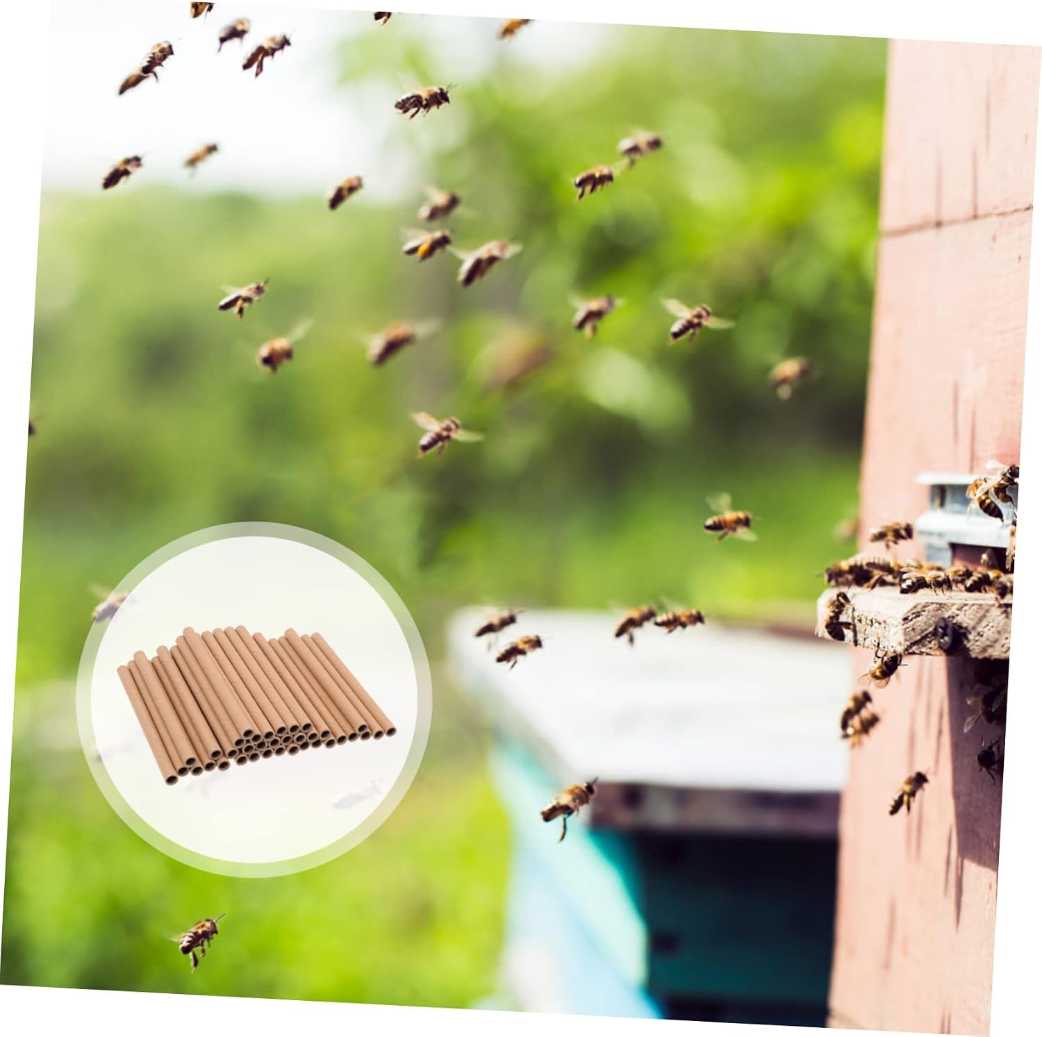 ORFOFE 200pcs Paper Tube Craft Supplies Honeycomb Making Paper for Beekeepers