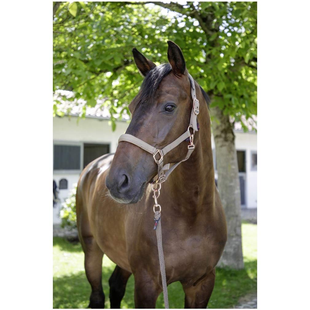 Covalliero Headcollar 4 colours