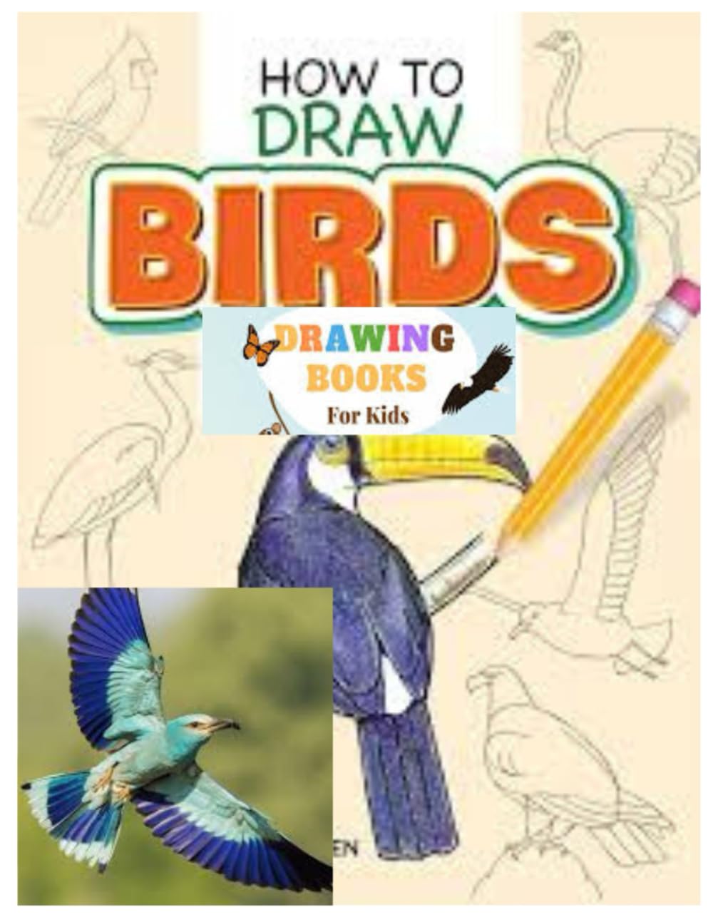 HOW TO DRAW BIRDS DRAWING BOOK FOR KIDS