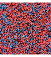 Blue Mixed Sprinkles - 35g Of Edible Blue & White Cake Sprinkles