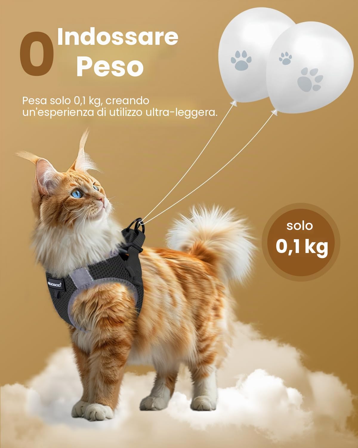 FAYOGOO Pettorina Gatto Piccolo, Guinzaglio per Gatti Pettorina Gatto Antifuga, Regolabili con Rivestimento Riflettente Guinzaglio per Cuccioli o Gatti Passeggiate all'aperto