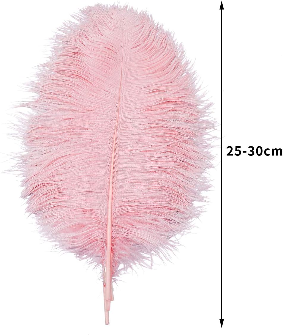 24pcs Natural Lotus Pink Ostrich Feathers 10-12inch (25-30cm) for Wedding Party Centerpieces,Flower Arrangement and Home Decoration.