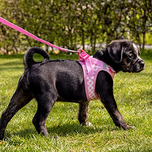 Vest Harness curli Clasp Air-Mesh Pink-Circles XS & Leash M