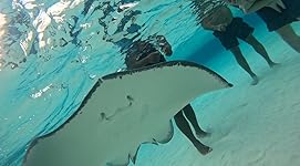 Review Image by Rose Rose