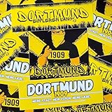 Fan-Kultur Xperience