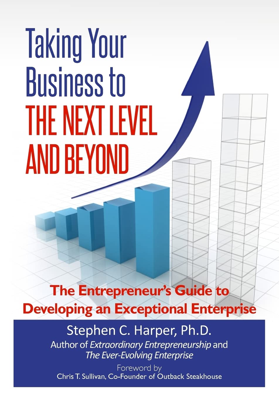 Taking Your Business to the Next Level and Beyond: The Entrepreneur's Guide to Developing an Exceptional Enterprise: Volume 1