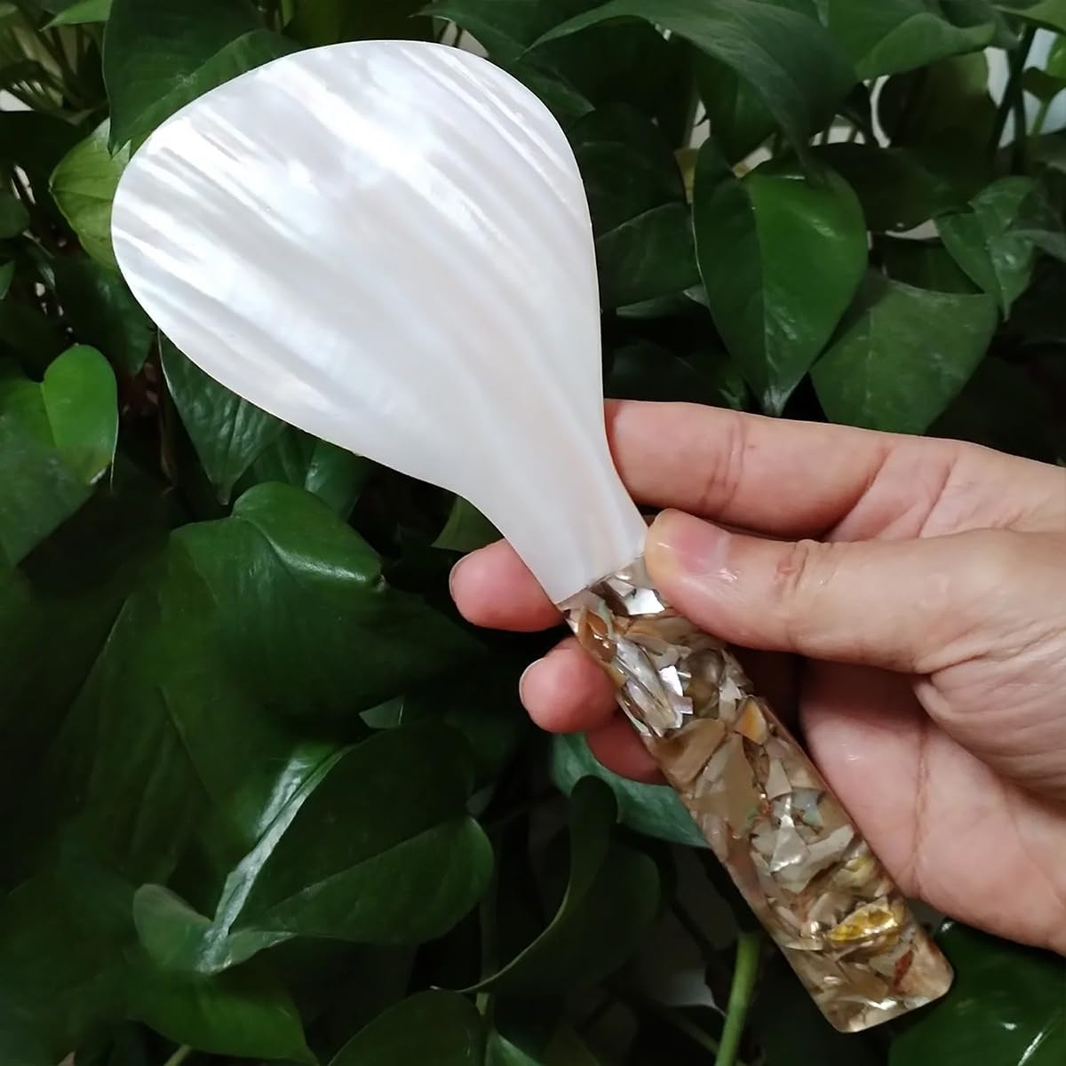 Natural Shell Big Caviar Spoon, 9x3.14inch Rice Spoon for Caviar, Egg, Ice Cream, Coffee, Restaurant Serving, White