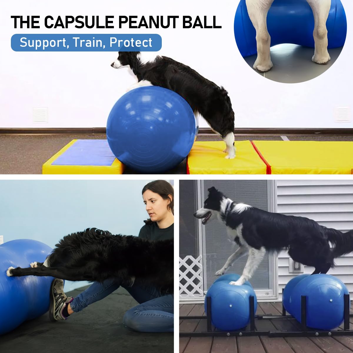 Amazon | 犬用ピーナッツボール 犬用フィットネス&リハビリテーション