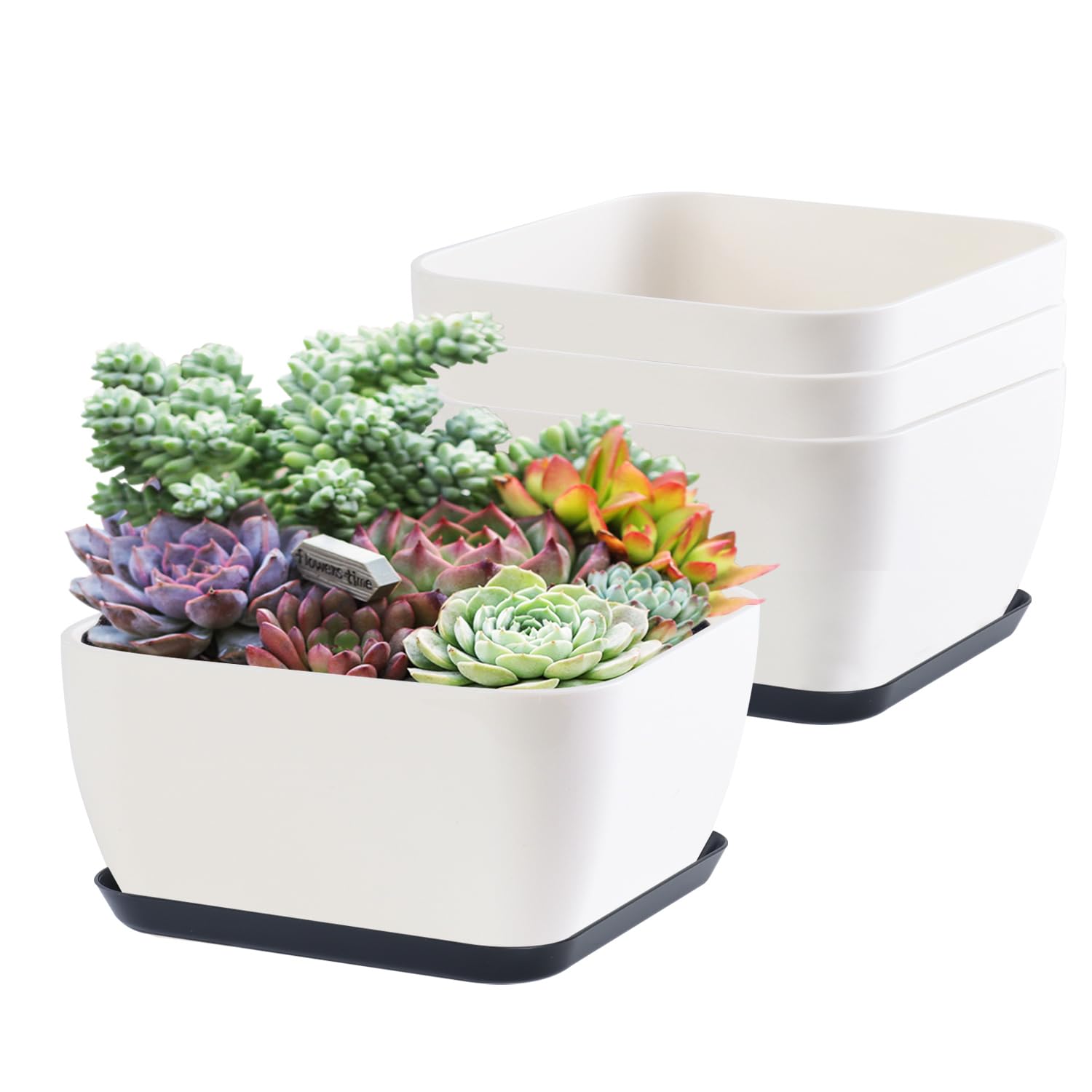 Oliz 6 Inch Shallow Square Succulent Planters Set of 4