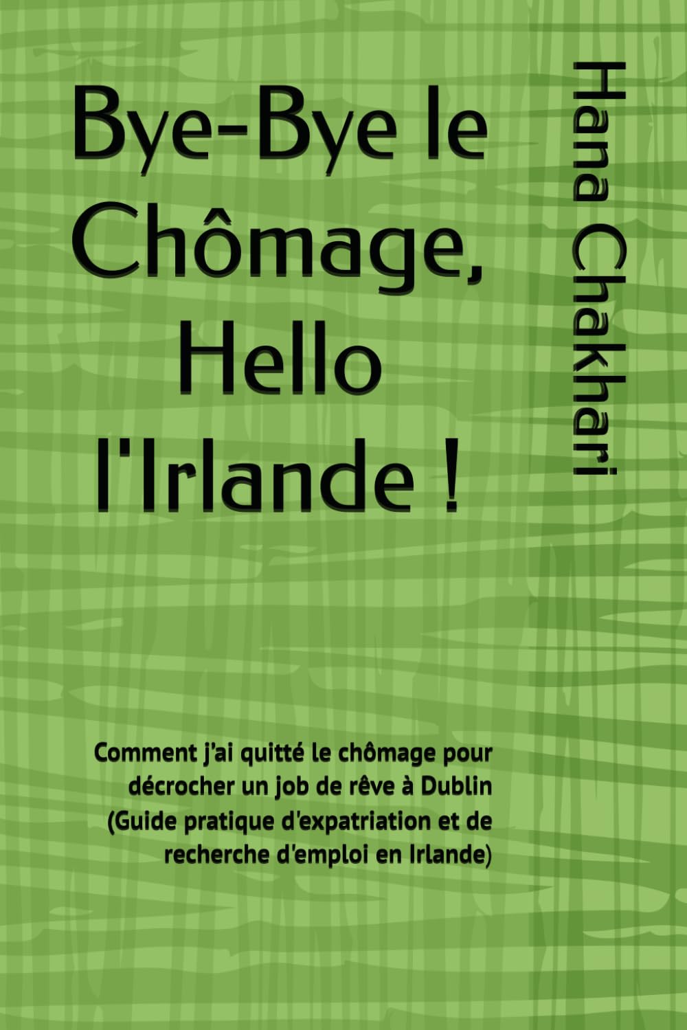 Bye-Bye le Chômage, Hello l'Irlande !: Comment j’ai quitté le chômage pour décrocher un job de rêve à Dublin (Guide pratique d'expatriation et de recherche d'emploi en Irlande)