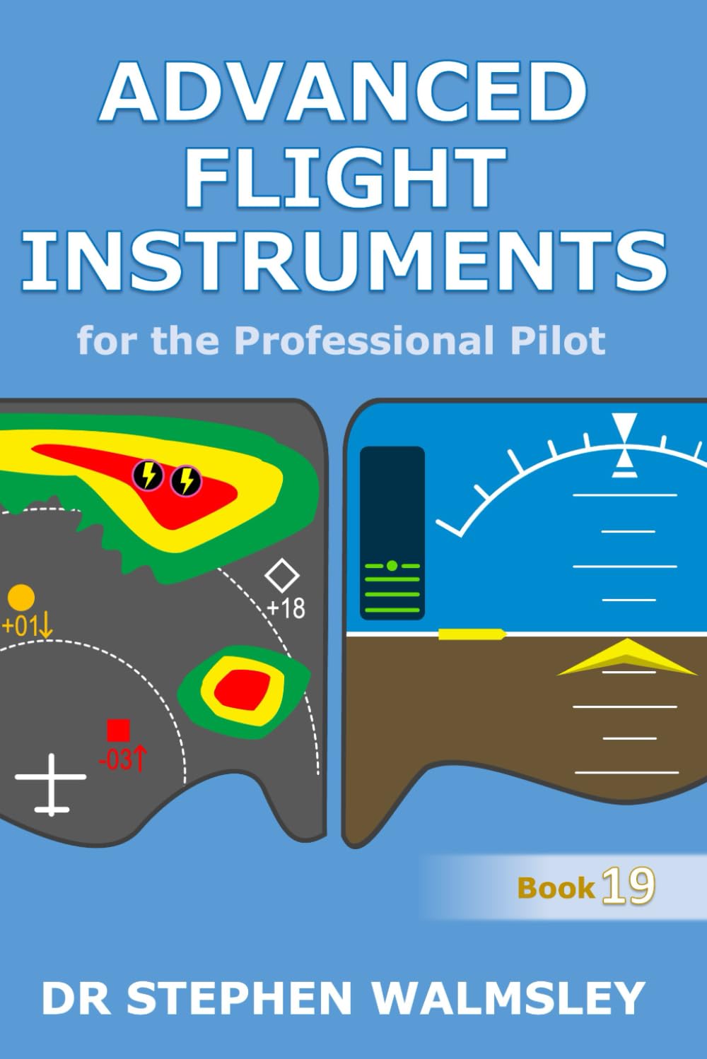 Advanced Flight Instruments for the Professional Pilot (Aviation Books Professional Pilot Series)      Paperback – September 12, 2025