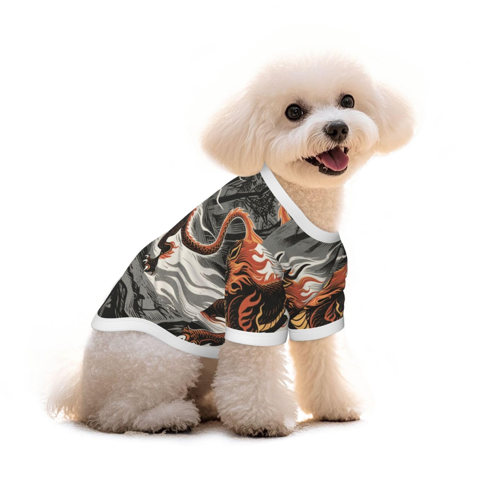 T-shirt pour chien léger idéal pour les balades de votre bouledogue