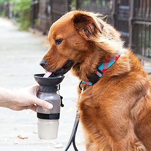 FLIPXEN Hydrated on the Go Travel Water Bottle Mug for Cat Puppy Pet Dog (B07J4WJB2R) Amazon Price History, Amazon Price Tracker