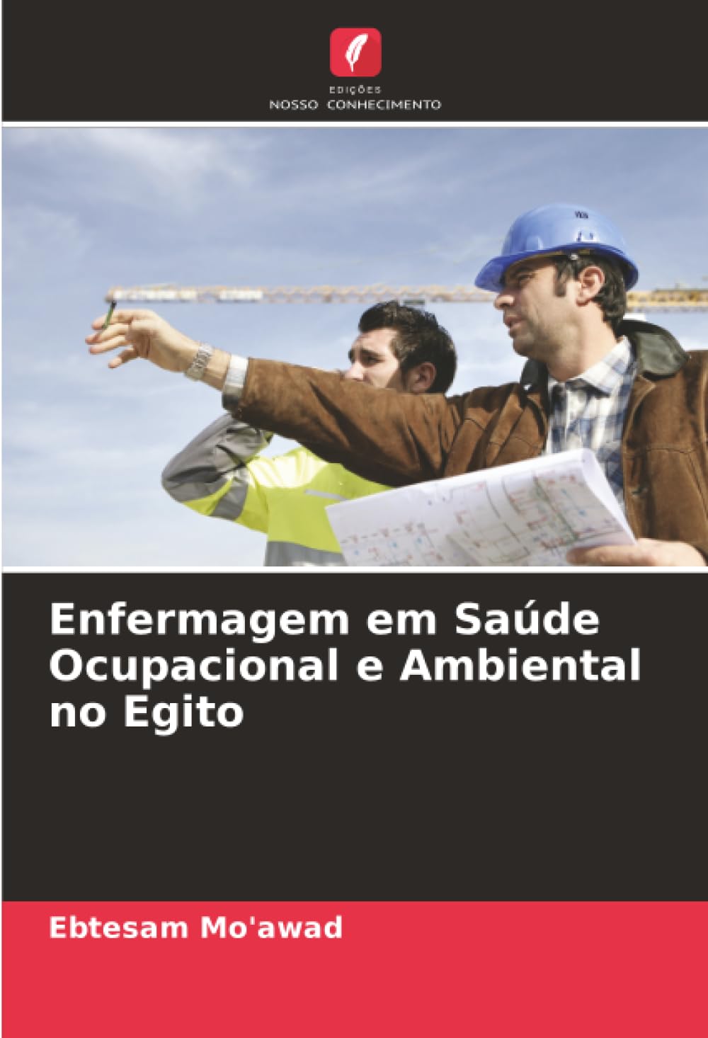 Enfermagem em Saúde Ocupacional e Ambiental no Egito
