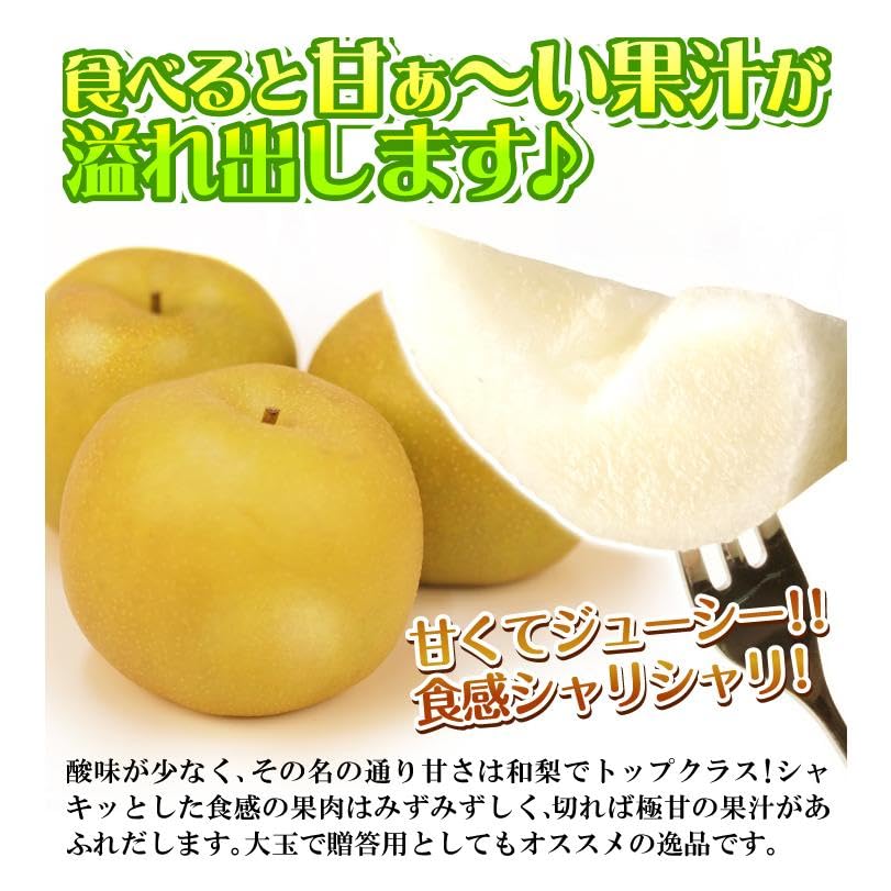 Amazon.co.jp: 国華園 梨 10kg 新甘泉梨 鳥取産 二十世紀梨を親に持つ