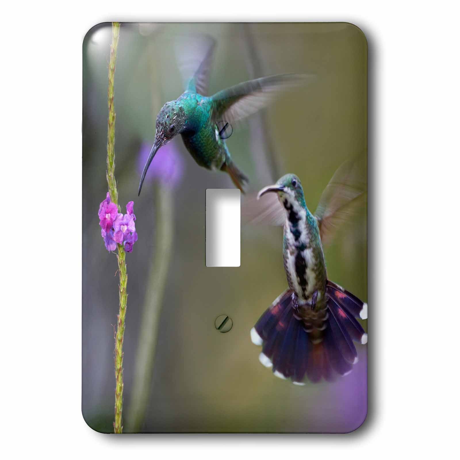 Interrupteur à bascule simple colibris pour remplacer les plaques ternes