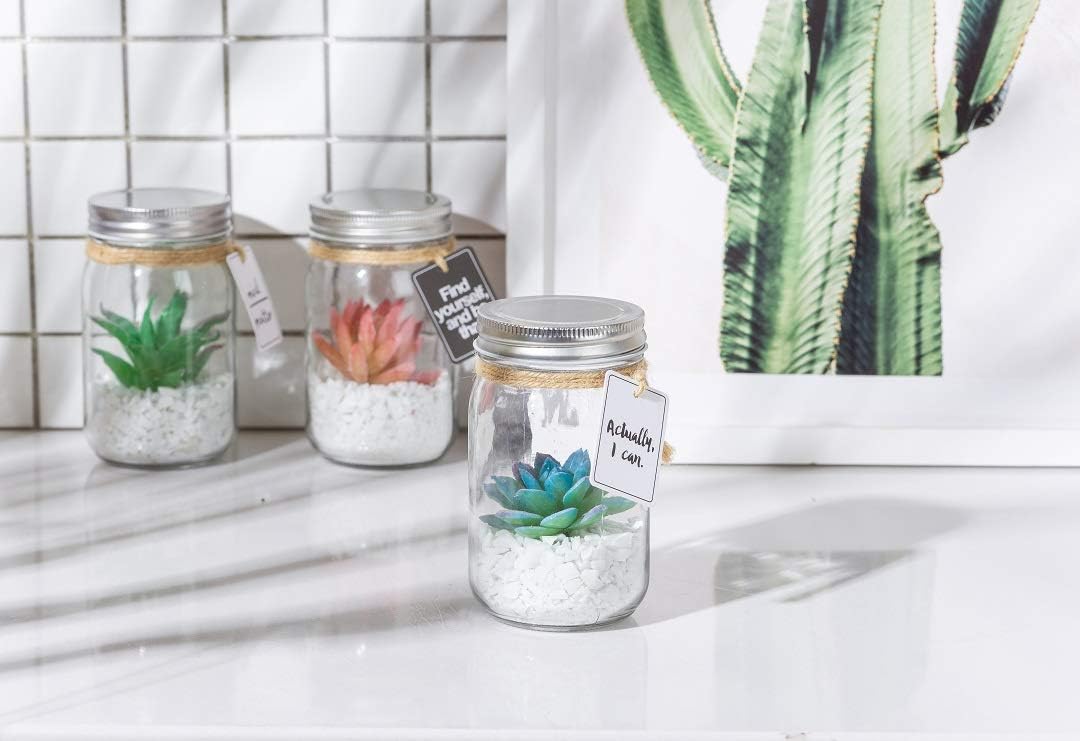 Opps Mini Artificial Colorful Succulent Plants with Special Rope Design Clear Glass Jar – Set of 3