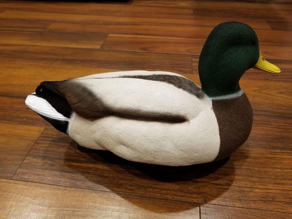 Drake Mallard Full Body Flocking Kit