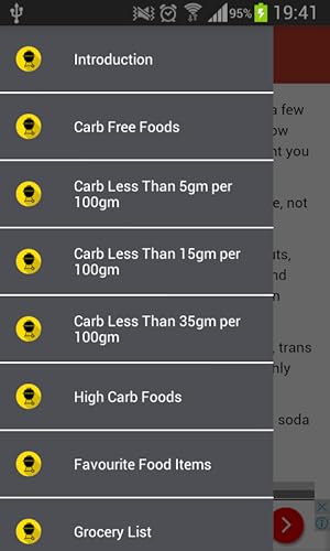 Low Carb Diet Guide: a Weight Loss Diet Guide and Healthy Delicious low carb Recipes