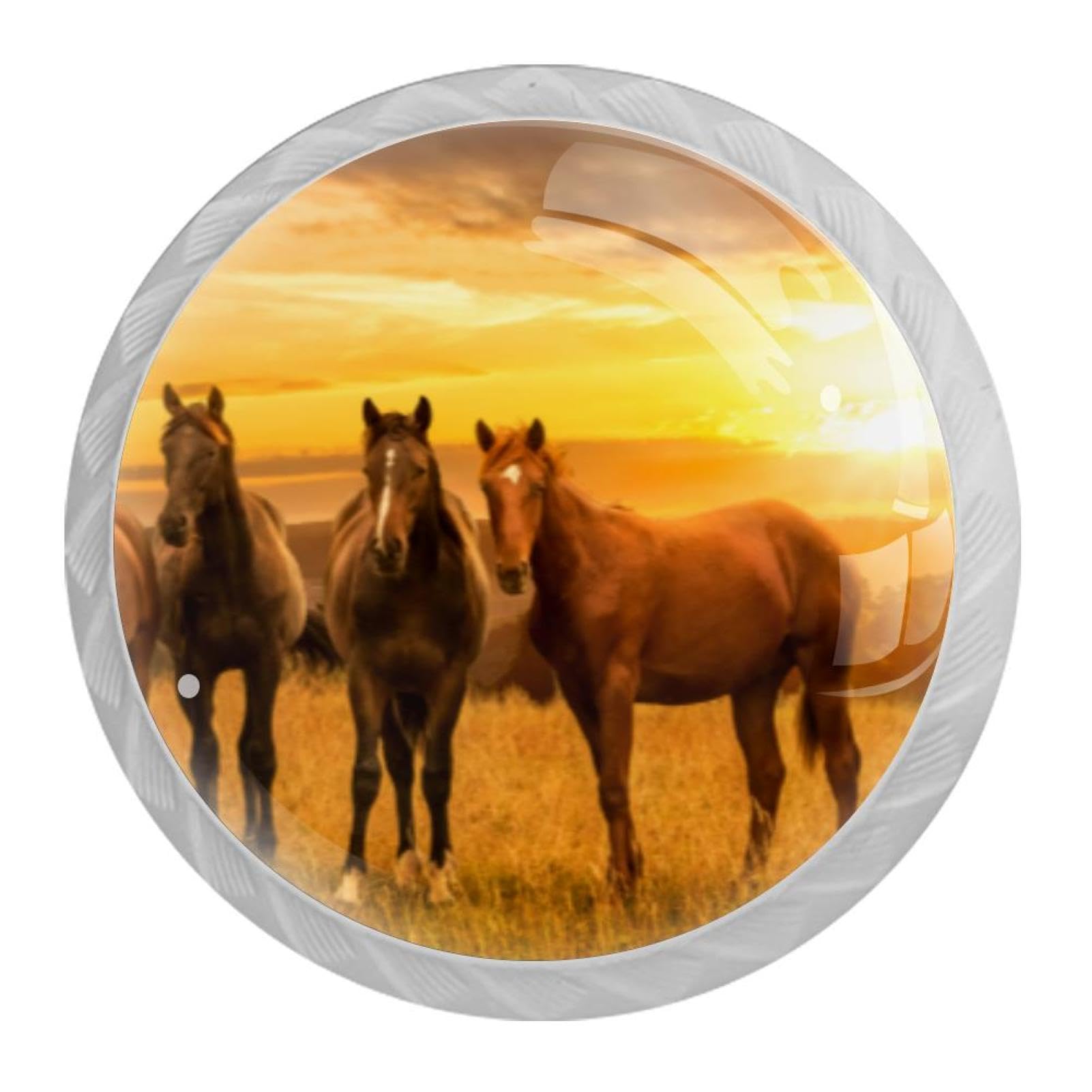 Tqmspg Multi Brown Horses