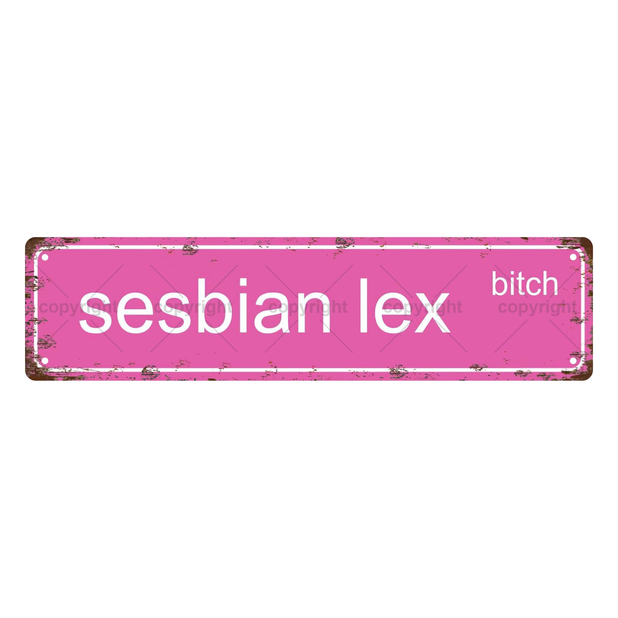 Sesbian Lex Sexual Metal Tin Street Sign Bar Cafe Garage Cave Home Room Wall Bathroom Farmhouse Garden Porch Patio Decor,4x16 Inch