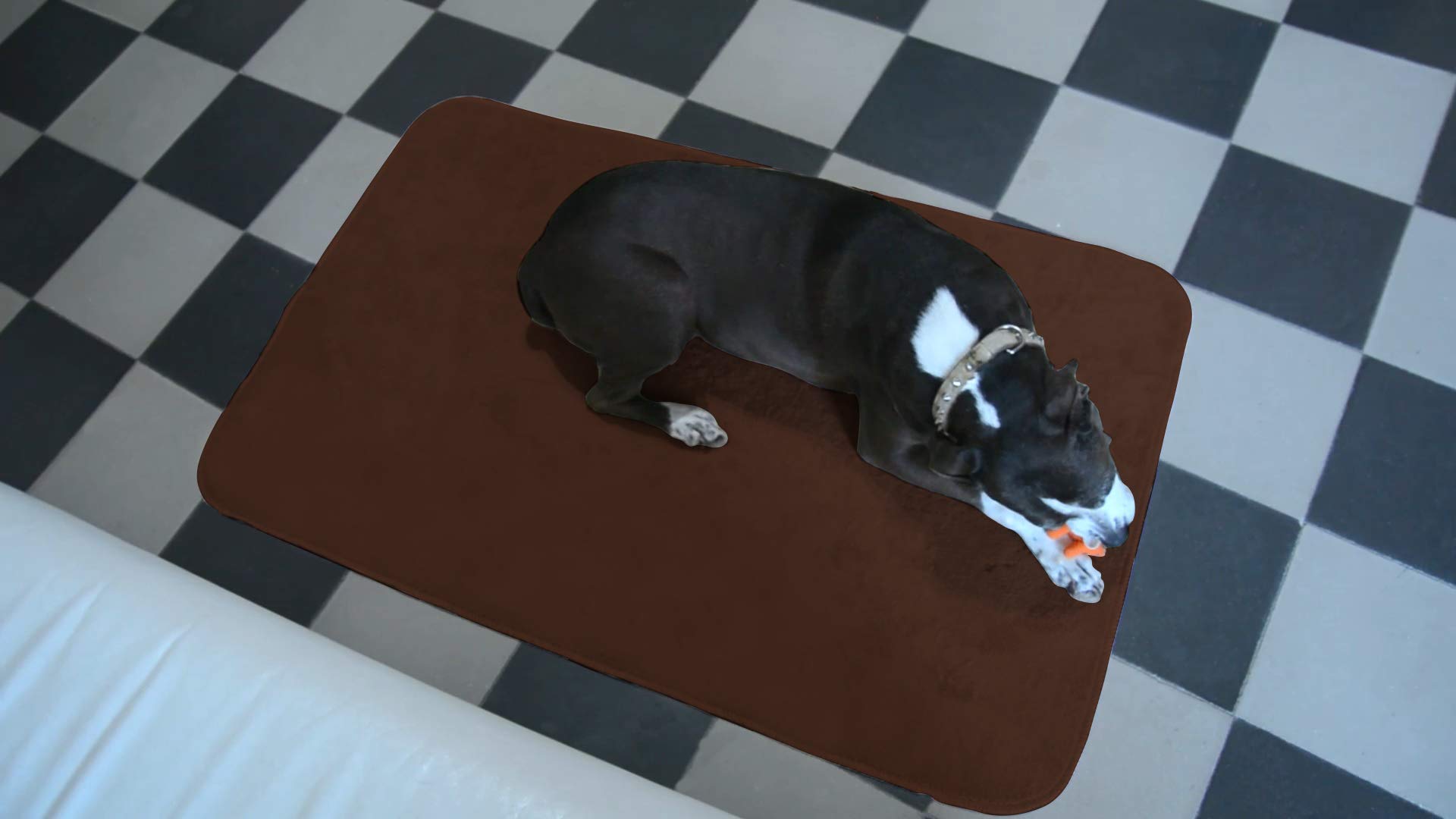 GEMITEX Merino Animal/Pet Rug 75 x 120 cm Brown Ultra-Absorbent, Polyester, 75X120 - Image 2