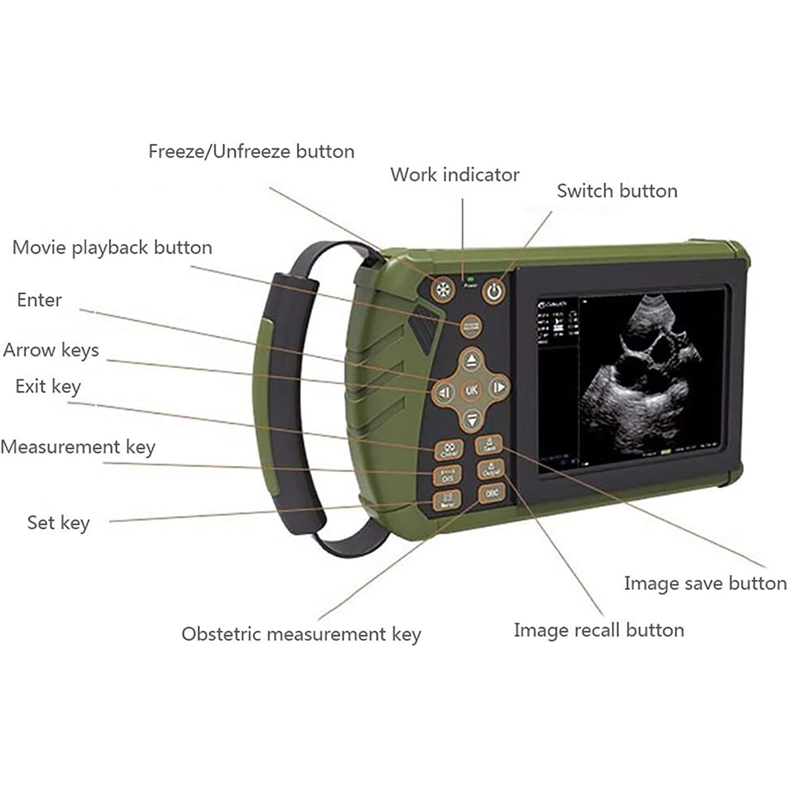 Przenośny skaner ultradźwiękowy B, weterynaryjny ultradźwiękowy sprzęt diagnostyczny, z wypukłą sondą 3,5 MHz, kolorowy ekran HD 14,2 cm, używany dla psów, kotów, świń, owiec i kóz