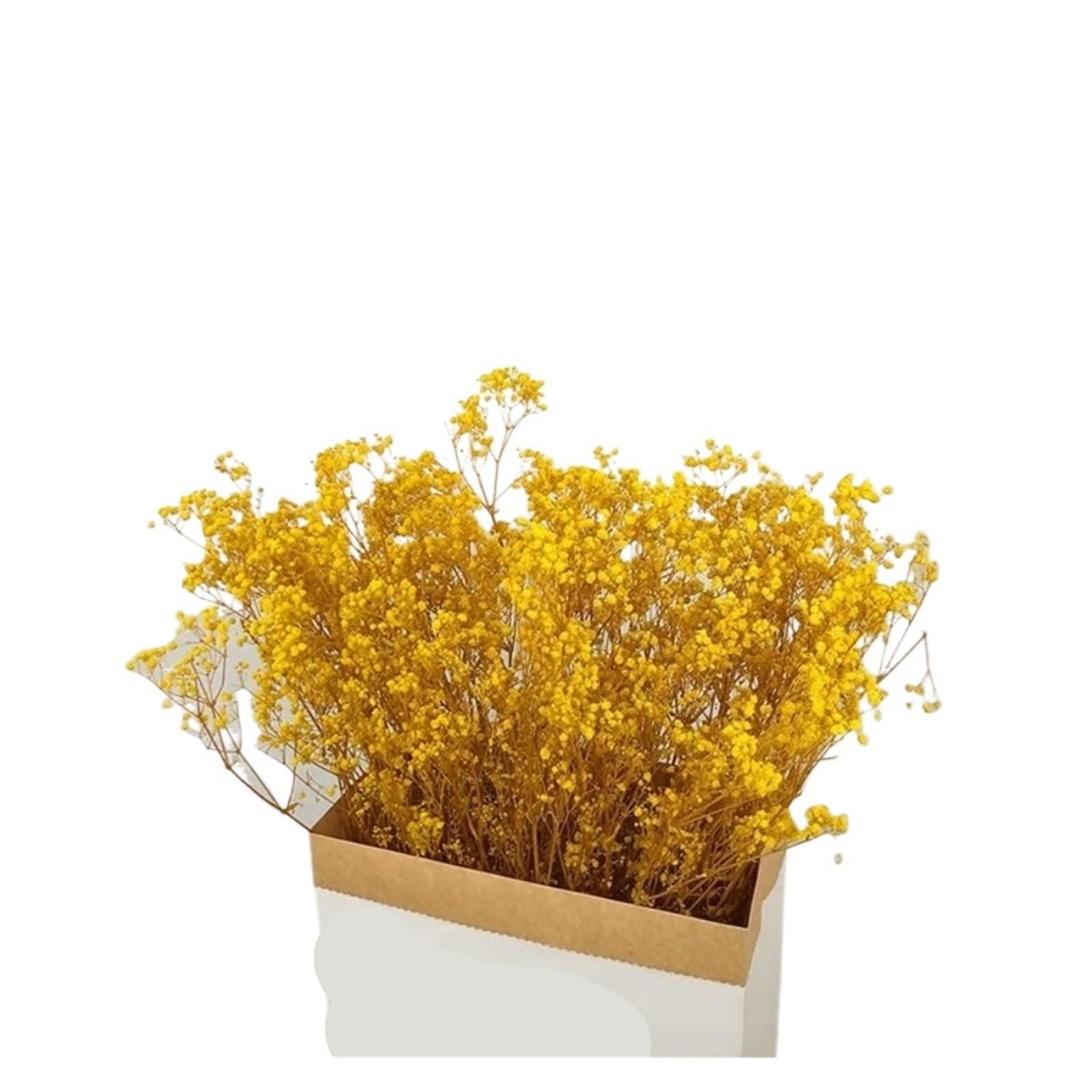 WJIAYAO dried gypsophila flowers 100g Dried Flowers Baby Breath Preserved Gypsophila Bouquet Home Decor Colorful Gypsophile Wedding Party Decoration(YELLOW,60g)